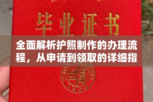 江州全面解析护照制作的办理流程，从申请到领取的详细指南